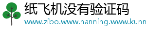 纸飞机没有验证码